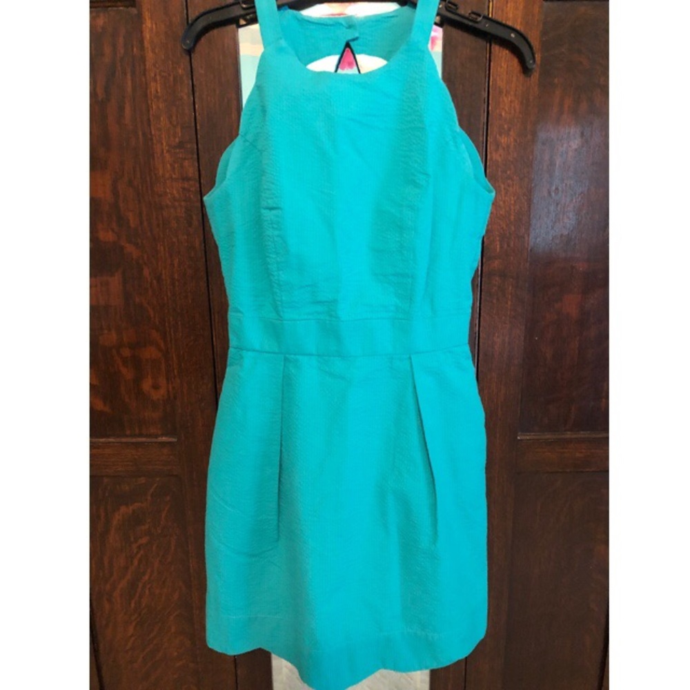 Lauren James Dress (size Small)